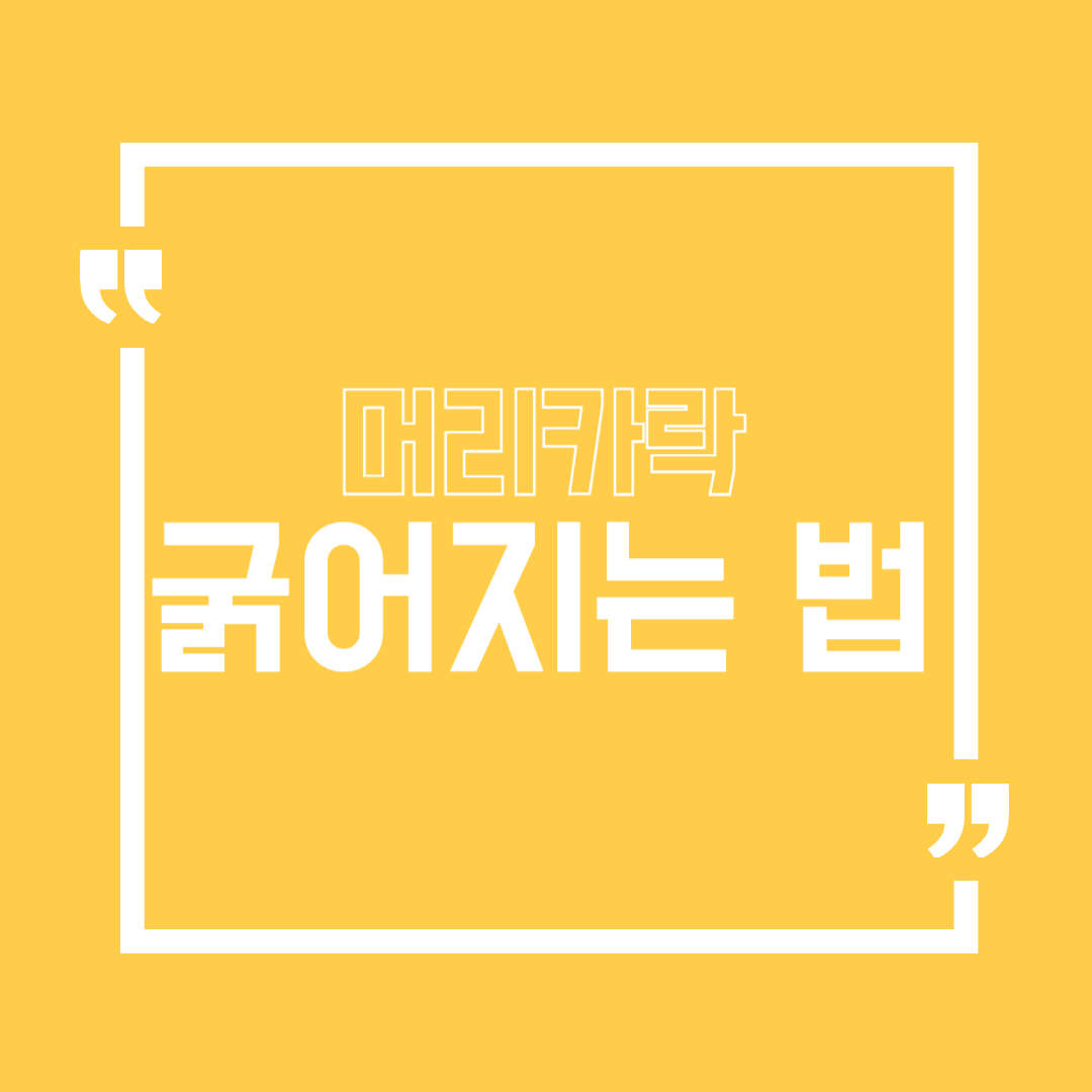 머리카락 굵어지는법