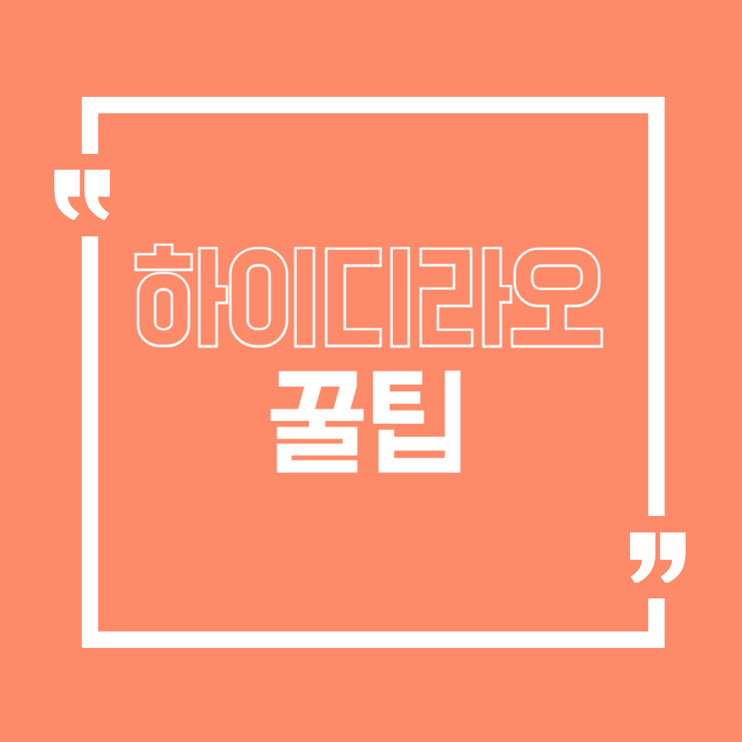하이디라오꿀팁