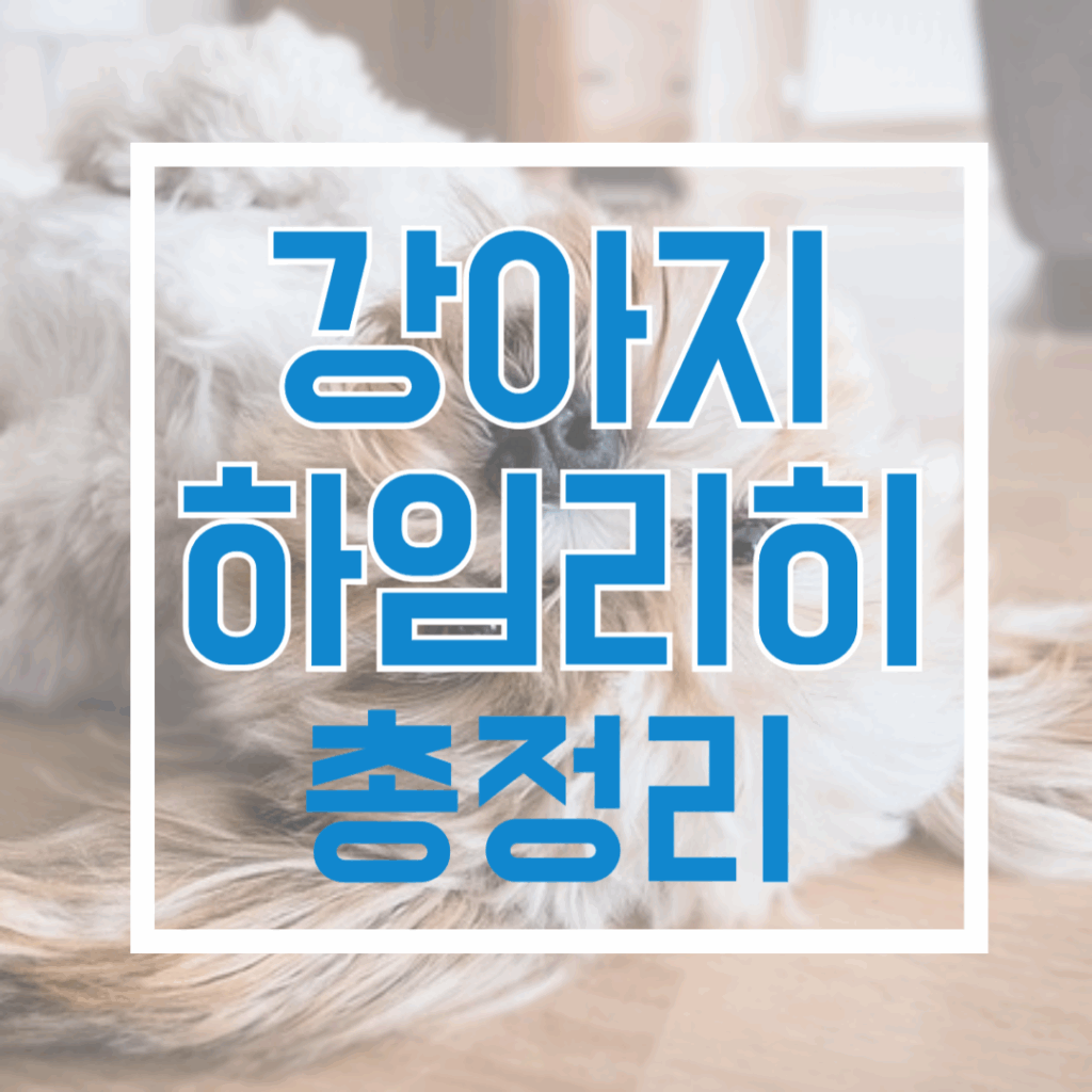 강아지 하임리히