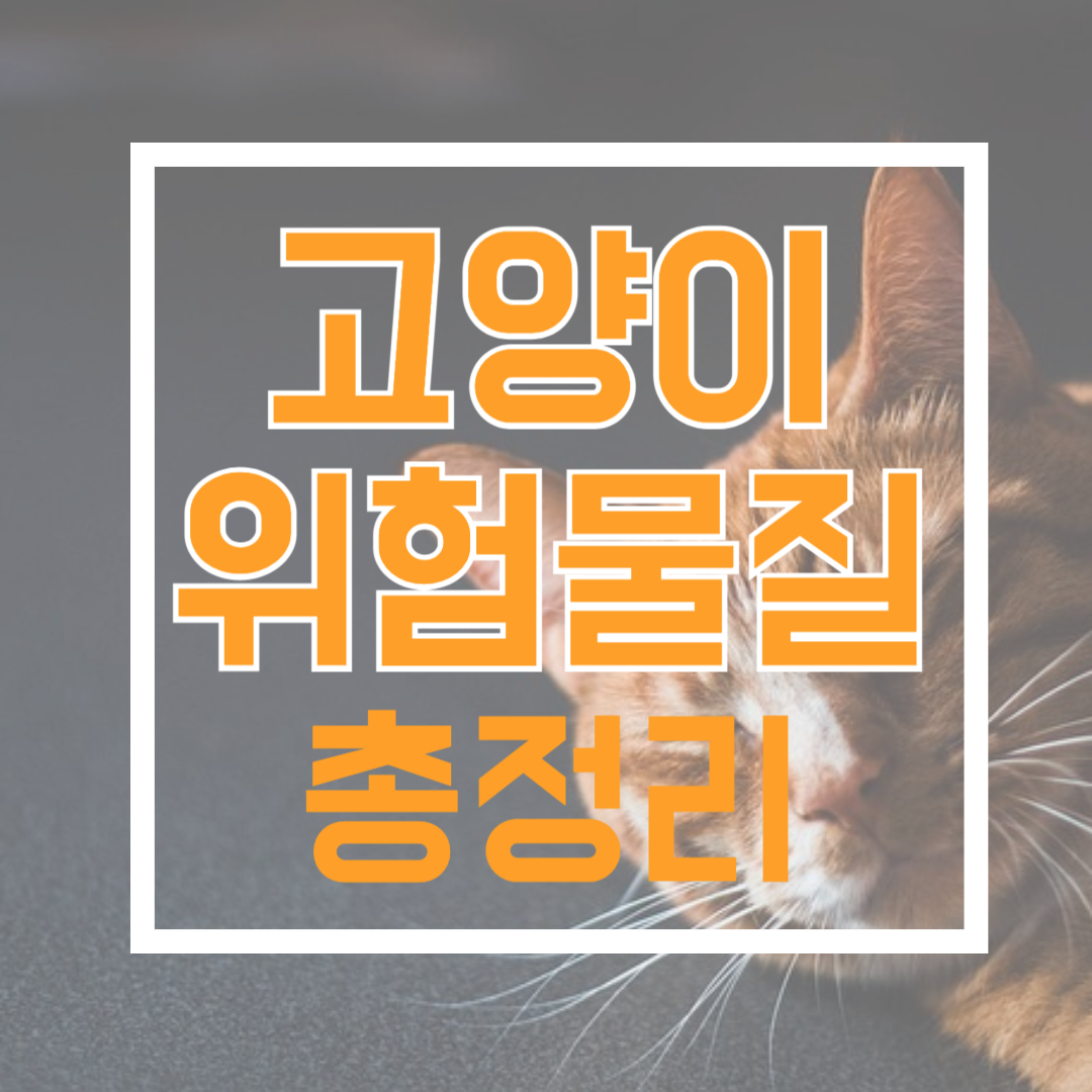 고양이 위험 음식