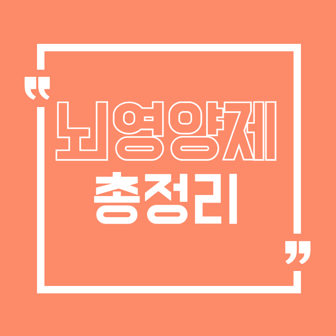 뇌영양제