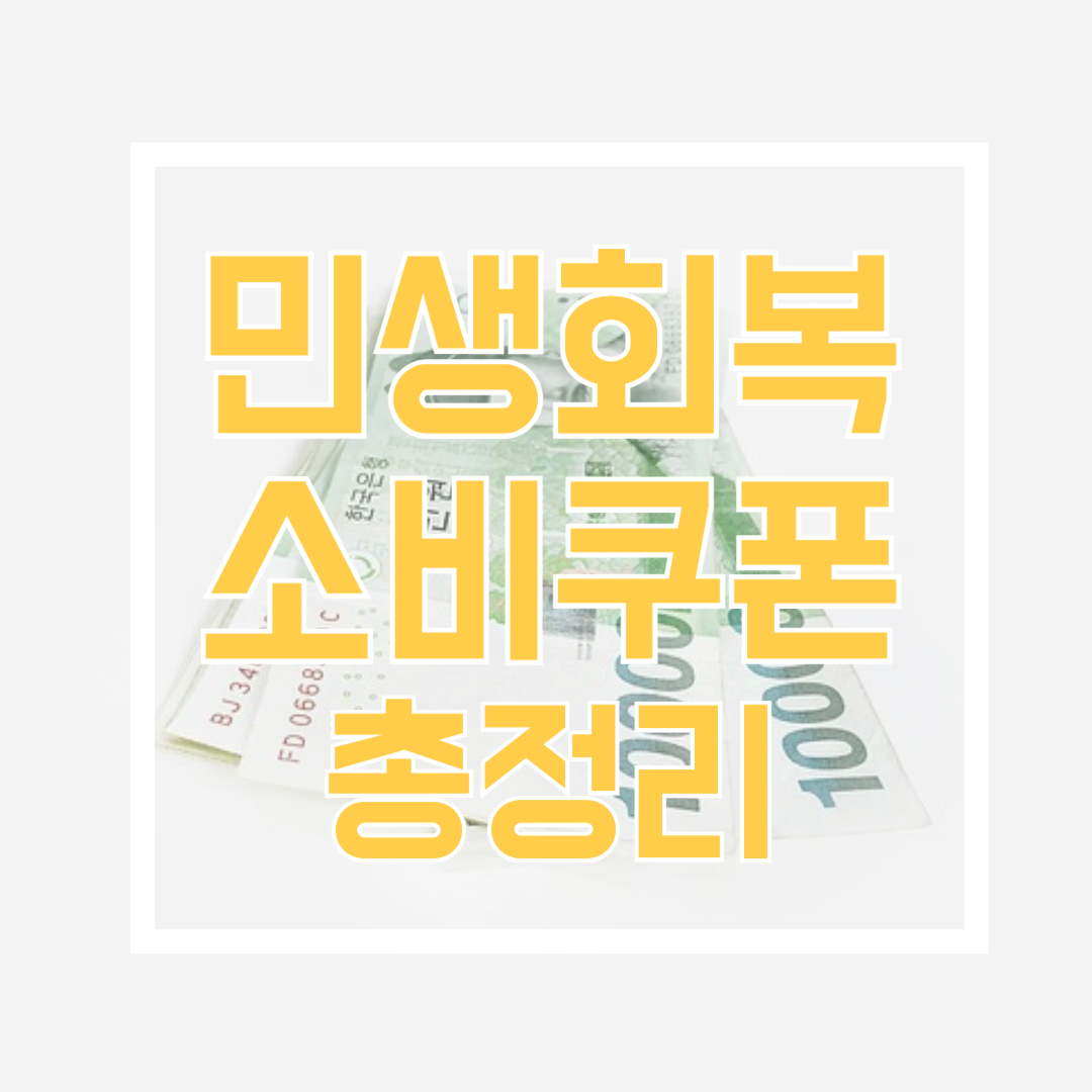 민생회복 소비쿠폰