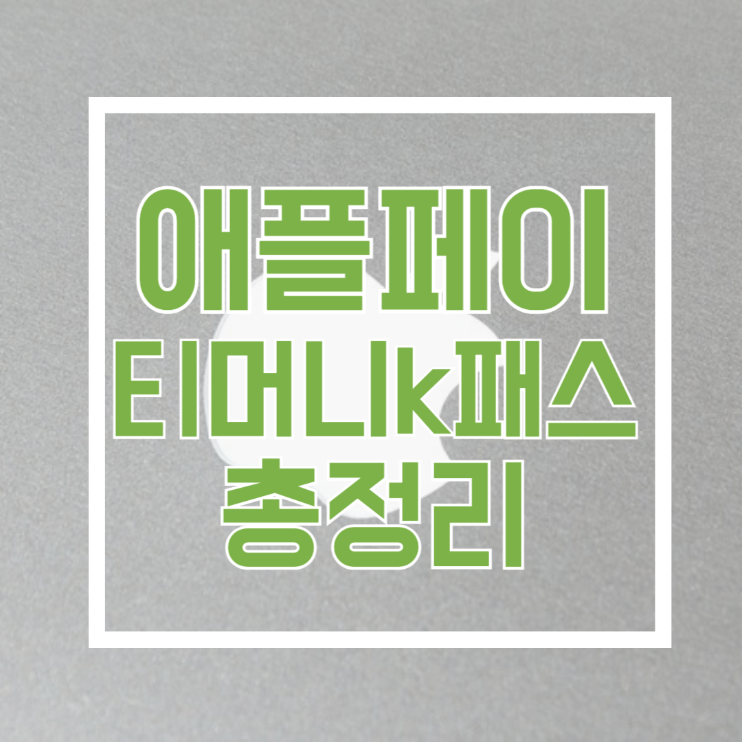 애플페이 티머니 k패스