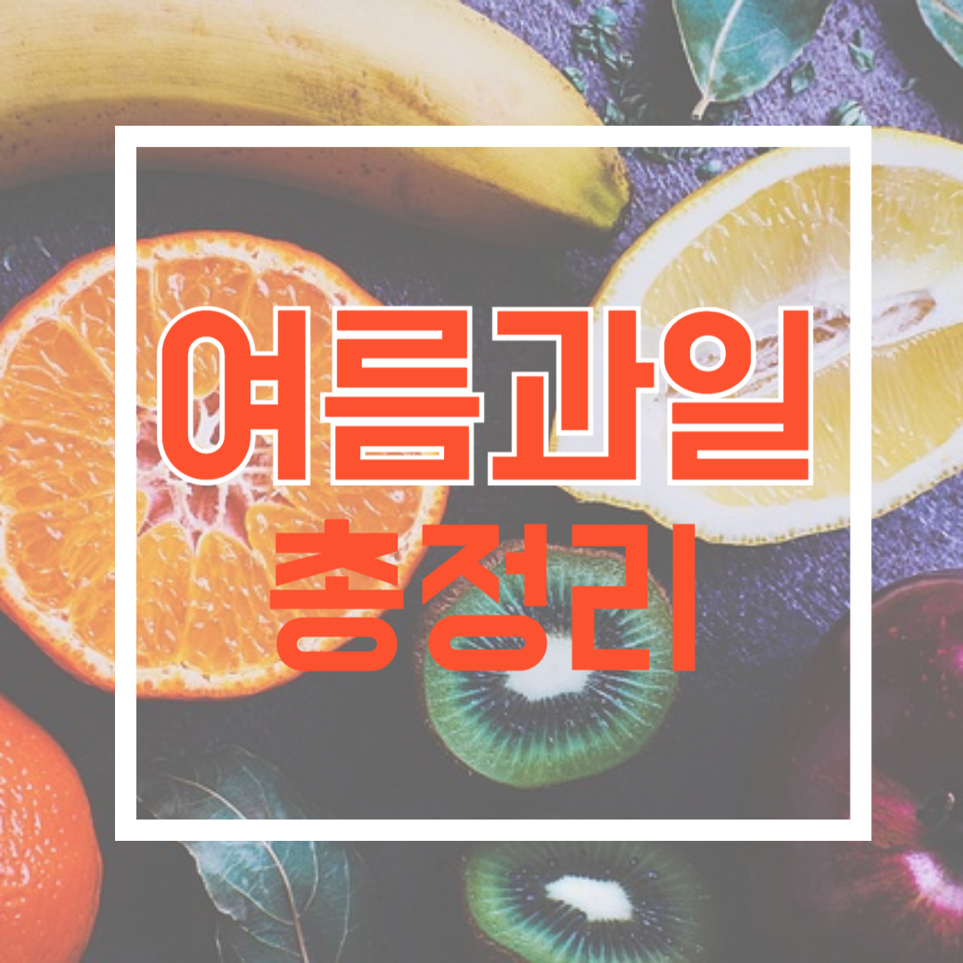 여름과일