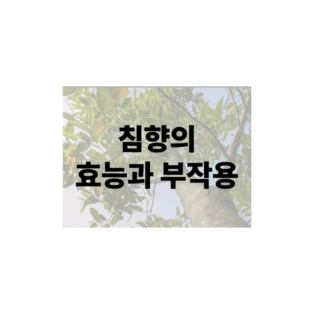 침향