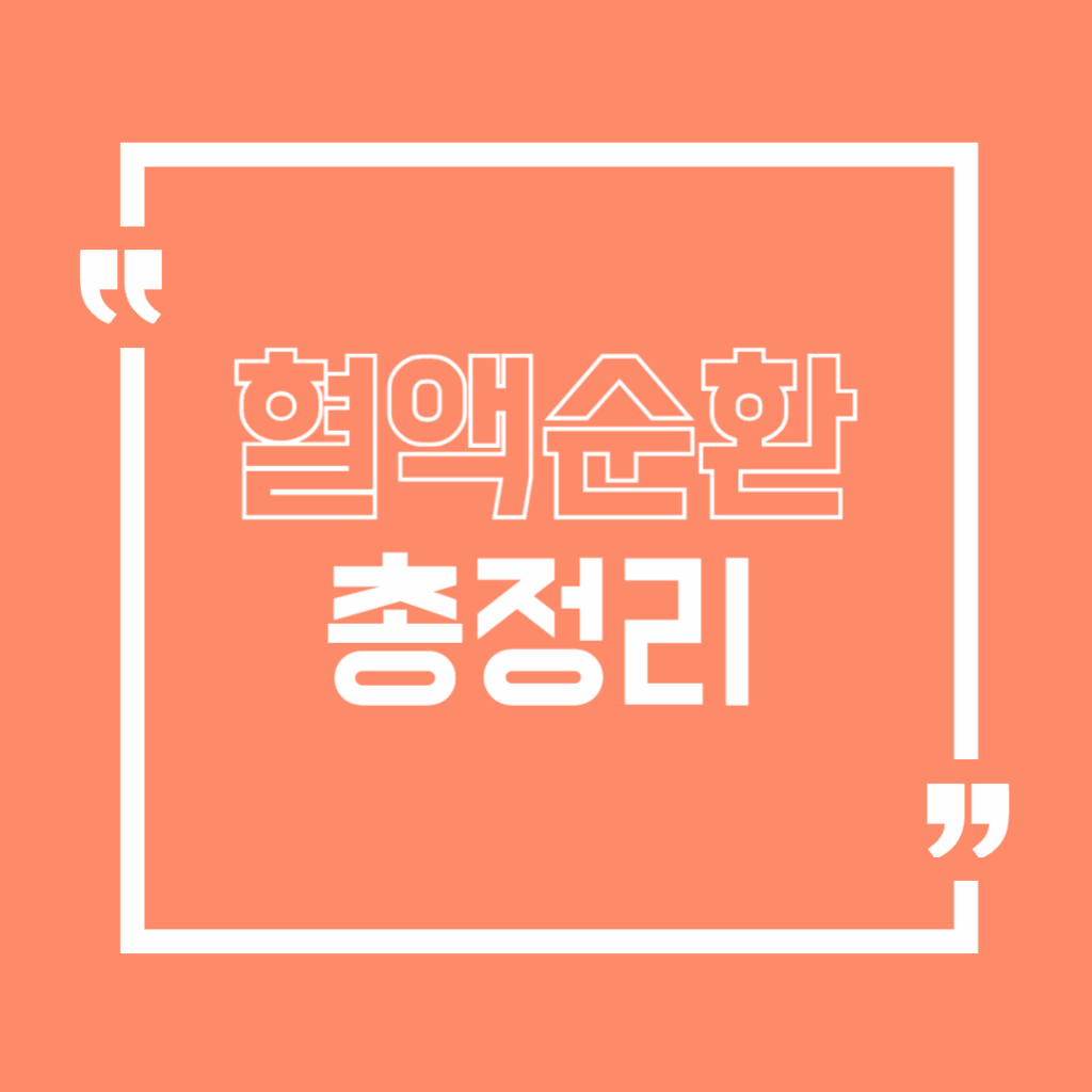 혈액순환