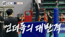 원더독스 창단 실패