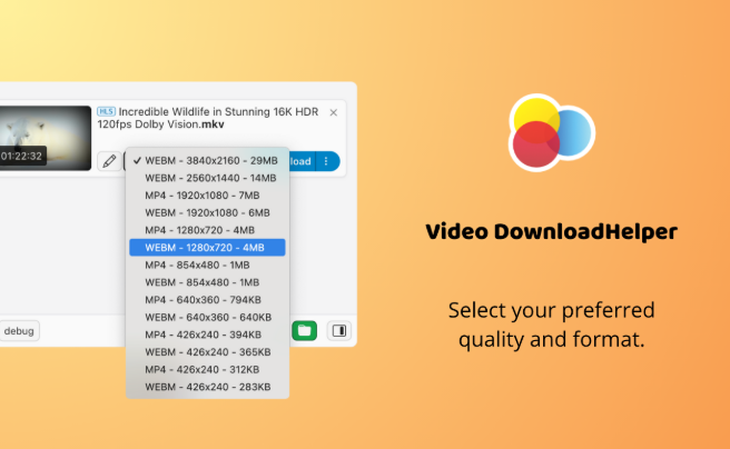 유튜브 영상 다운로드 하는 방법 | 유튜브 MP4 다운로드 5 스크린샷 2025 12 12 143428