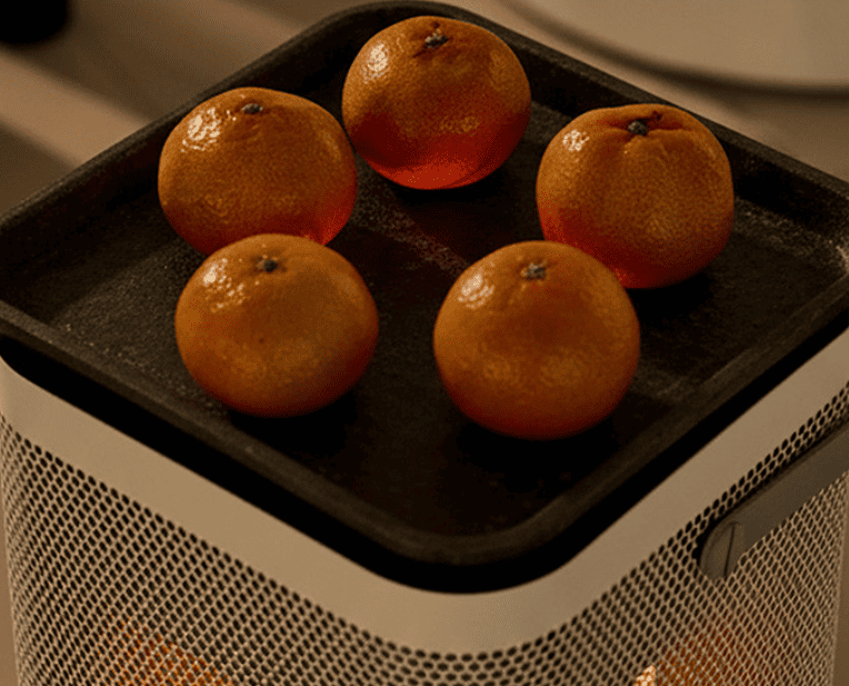 사무실 전기난로, 냄새 머리아픔이 걱정이라면? 오방난로 상세 분석과 안전 사용법 (feat. 에디르) 4 에디르 전기난로 귤