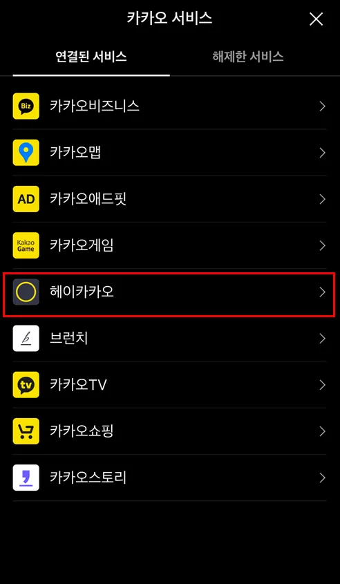 카카오 서비스 목록에서 헤이카카오 선택