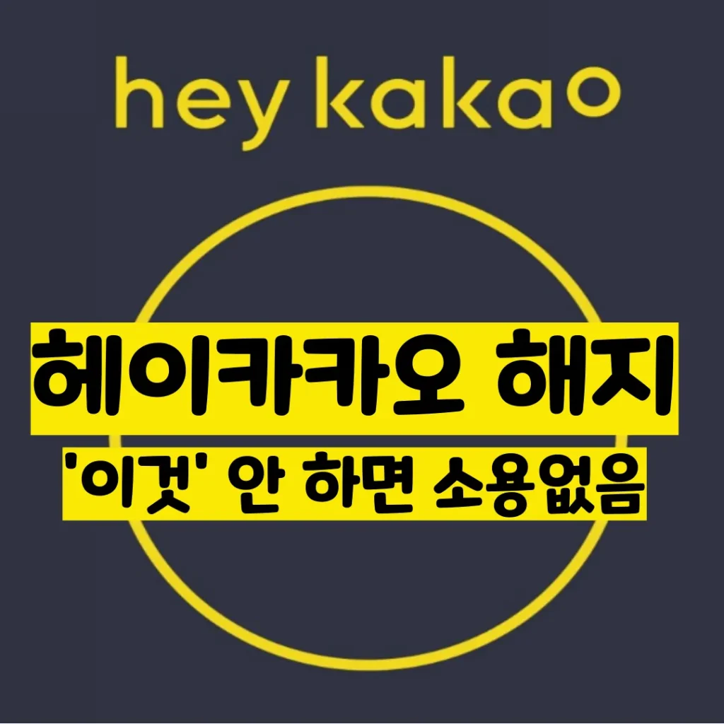 헤이카카오 해지 썸네일